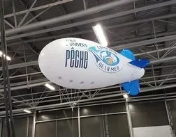 Dirigeable publicitaire
